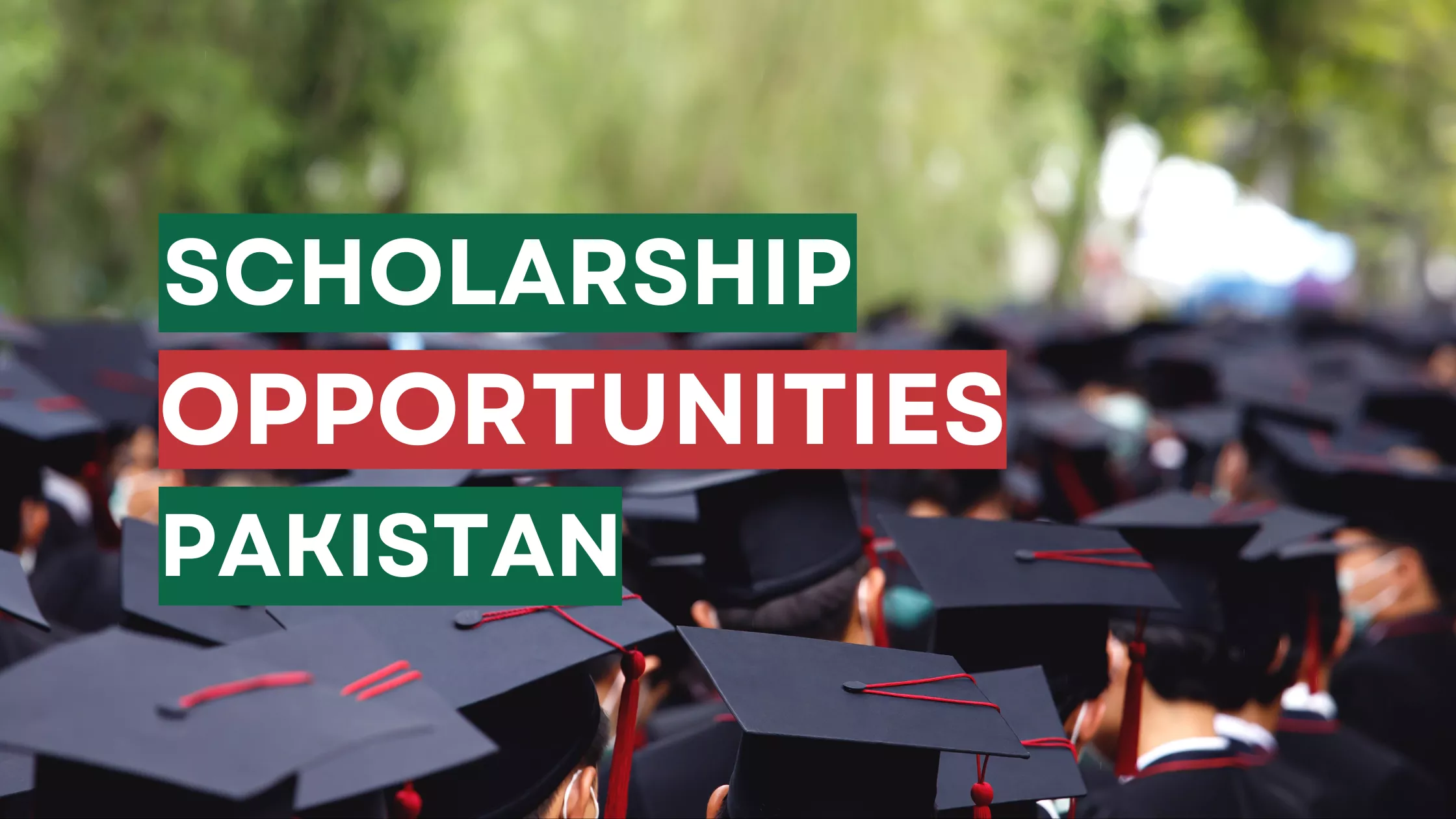 Scholarship Opportunities For Students In Pakistan - Turk Kapi Education